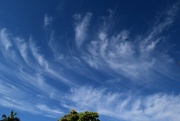 2nd Dec 2023 -  Feather Clouds ~ 