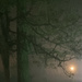 Foggy Night by joysabin