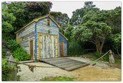2nd Dec 2023 - Boathouse 'At Killer Seagull Bay.'.