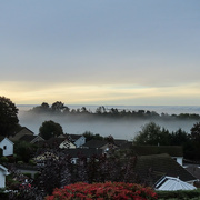 2nd Nov 2023 - Misty morning