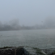 19th Nov 2023 - Freezing fog