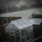 21st Nov 2023 - Frozen greenhouse