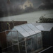 Frozen greenhouse by mumswaby