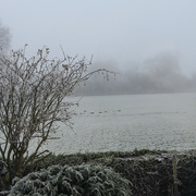 23rd Nov 2023 - Winter Scene