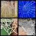 Frozen Cobwebs