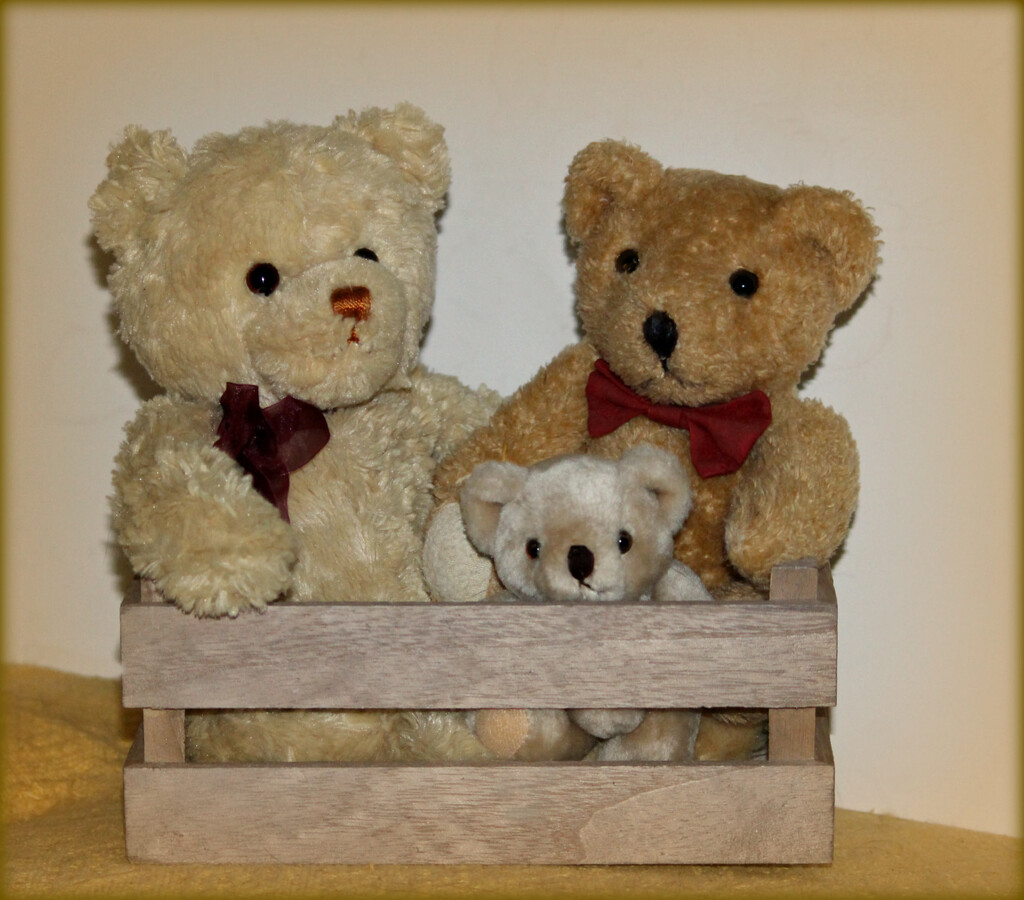 Box of Bears.  by wendyfrost