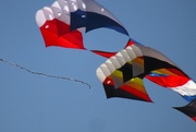 11th Nov 2023 - kite flying
