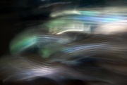25th Nov 2023 - Impressionism at the Aquarium