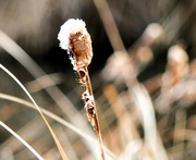 2nd Dec 2023 - Heavy frost again!