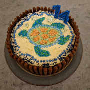 2nd Dec 2023 - 14th birthday cake