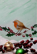 2nd Dec 2023 - Christmas robin