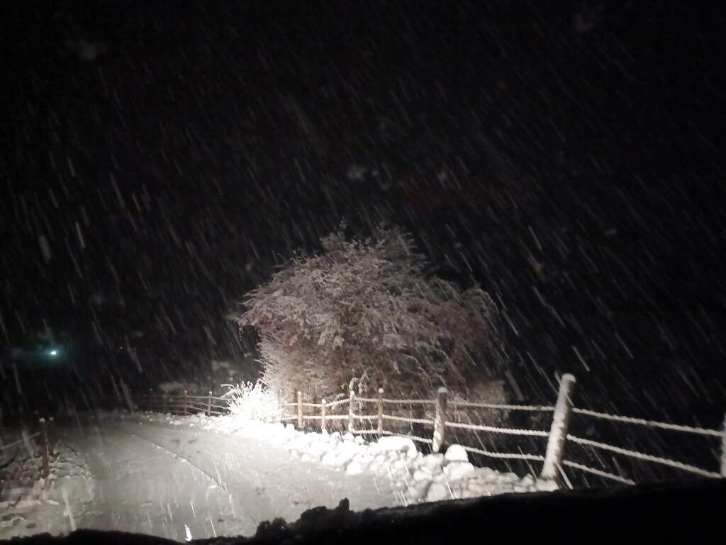 Heavy snowfall hit southern Germany on Friday night.  by cordulaamann