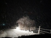 1st Dec 2023 - Heavy snowfall hit southern Germany on Friday night. 