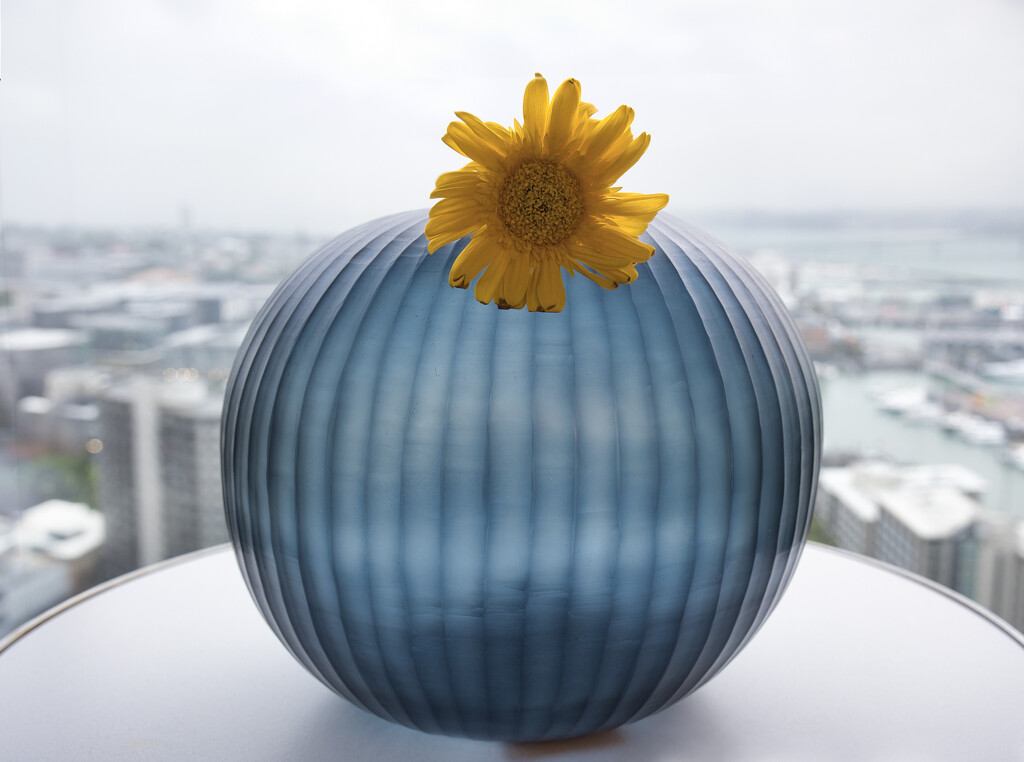 Blue vase with yellow gerbera by dkbarnett
