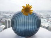 3rd Dec 2023 - Blue vase with yellow gerbera
