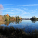 Green Lake...Late Fall  by seattlite