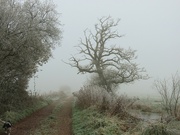 1st Dec 2023 - Frosty moor