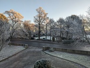 3rd Dec 2023 - Frosty morning 