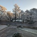 Frosty morning  by sarah19