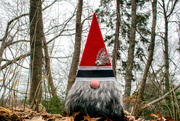 3rd Dec 2023 - Gnome