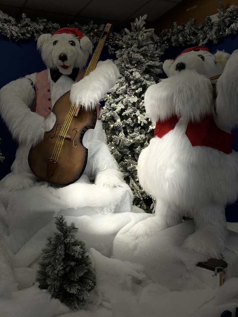 Musical bears by lizgooster
