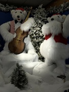 3rd Dec 2023 - Musical bears