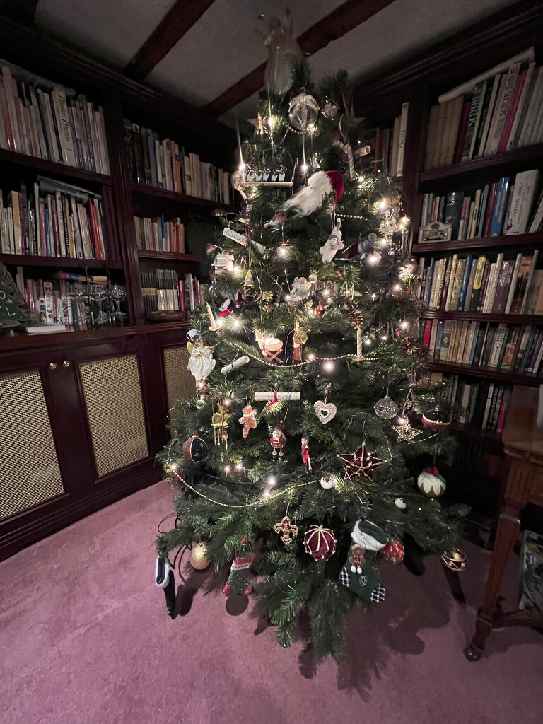 3 - Tree up and decorated by marshwader