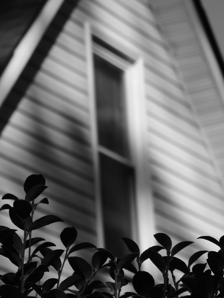 Rear Window... by marlboromaam