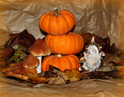 10th Nov 2023 - Three Little  Pumpkins.                                                                                            