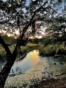 4th Dec 2023 - Sunset reflection in tidal creek at low tide