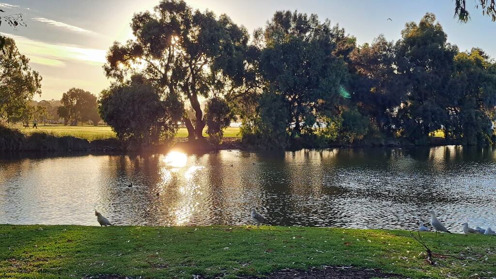 Golden hour by judithdeacon