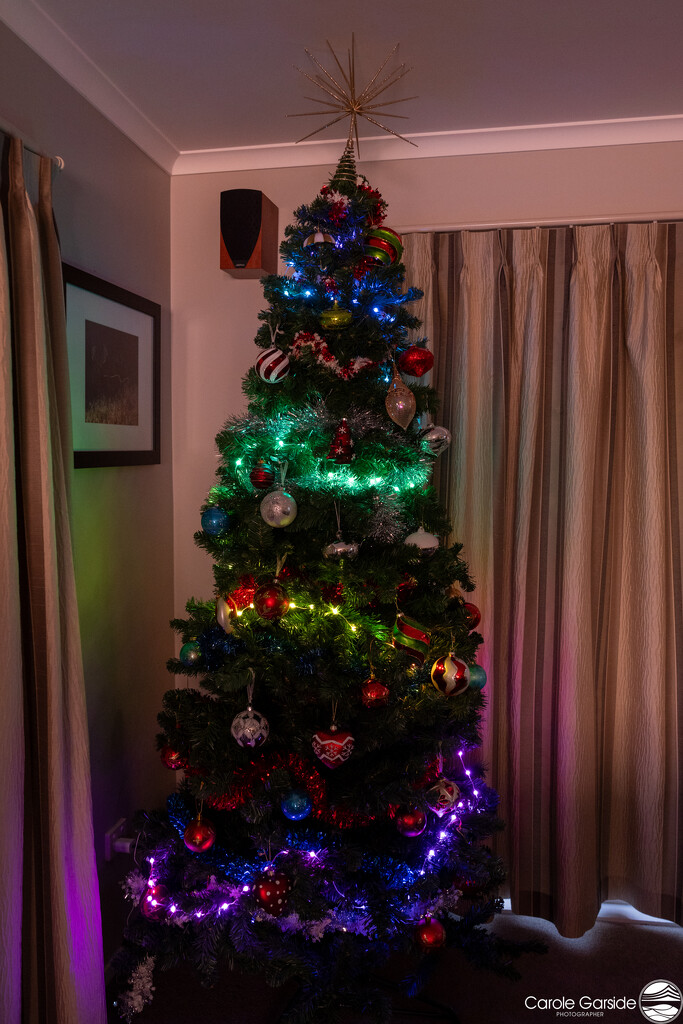 Christmas tree by yorkshirekiwi