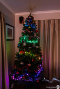 4th Dec 2023 - Christmas tree
