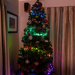 Christmas tree by yorkshirekiwi