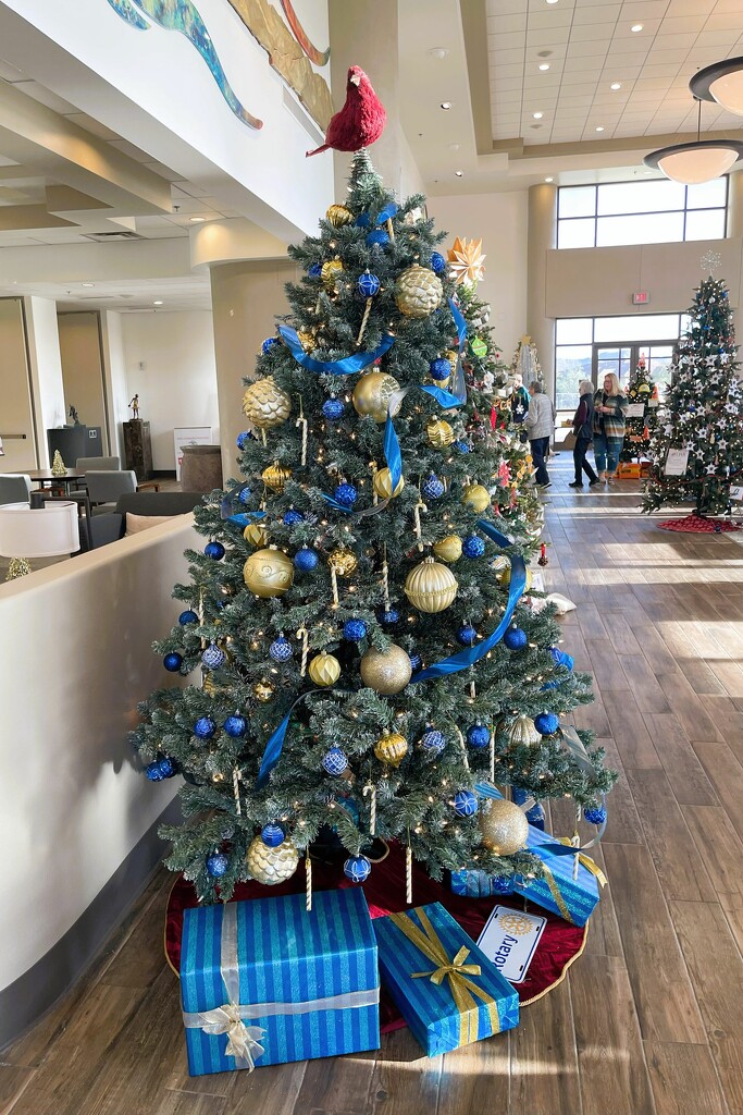 12 3 Blue Christmas Tree by sandlily