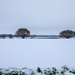 In the Bleak mid Winter by carole_sandford