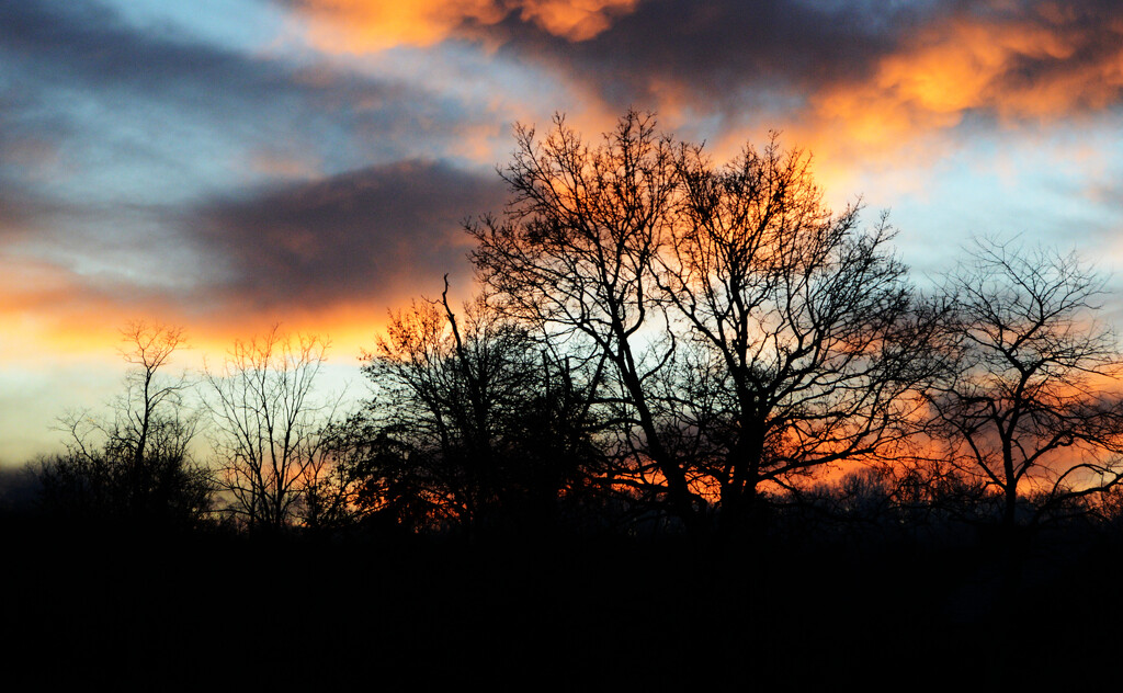 evening sky by francoise