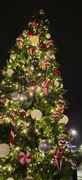 4th Dec 2023 - Mall Christmas Tree