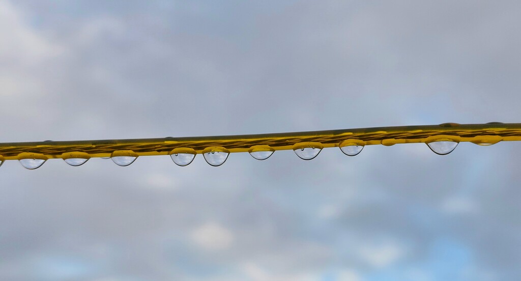 Droplets on the washing line by samcat