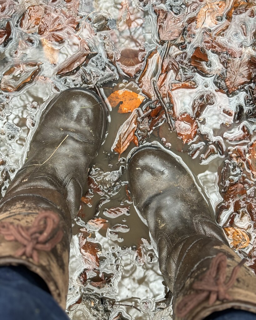 Hoping these boots are still waterproof ... by una1965