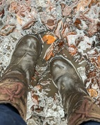 5th Dec 2023 - Hoping these boots are still waterproof ...