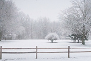 5th Dec 2023 - Snow scene