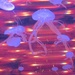 Jellyfish by granagringa