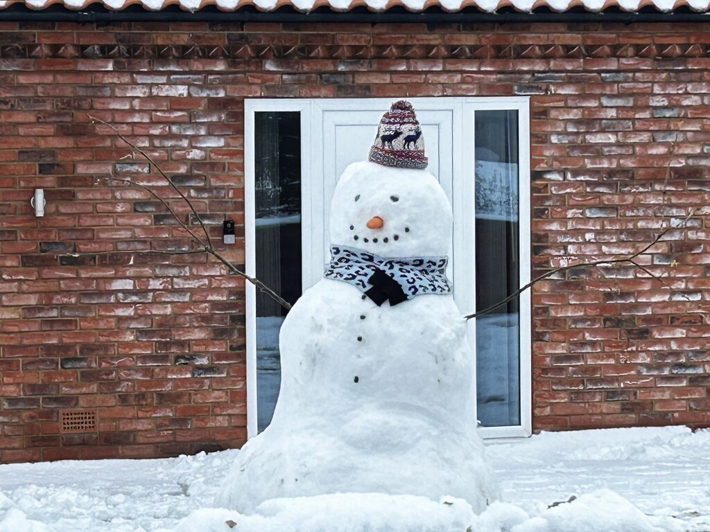 The Snowman by carole_sandford