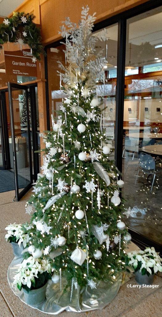 Holiday tree by larrysphotos