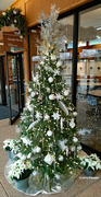 5th Dec 2023 - Holiday tree