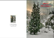 5th Dec 2023 - 5 - Cover for Christmas card