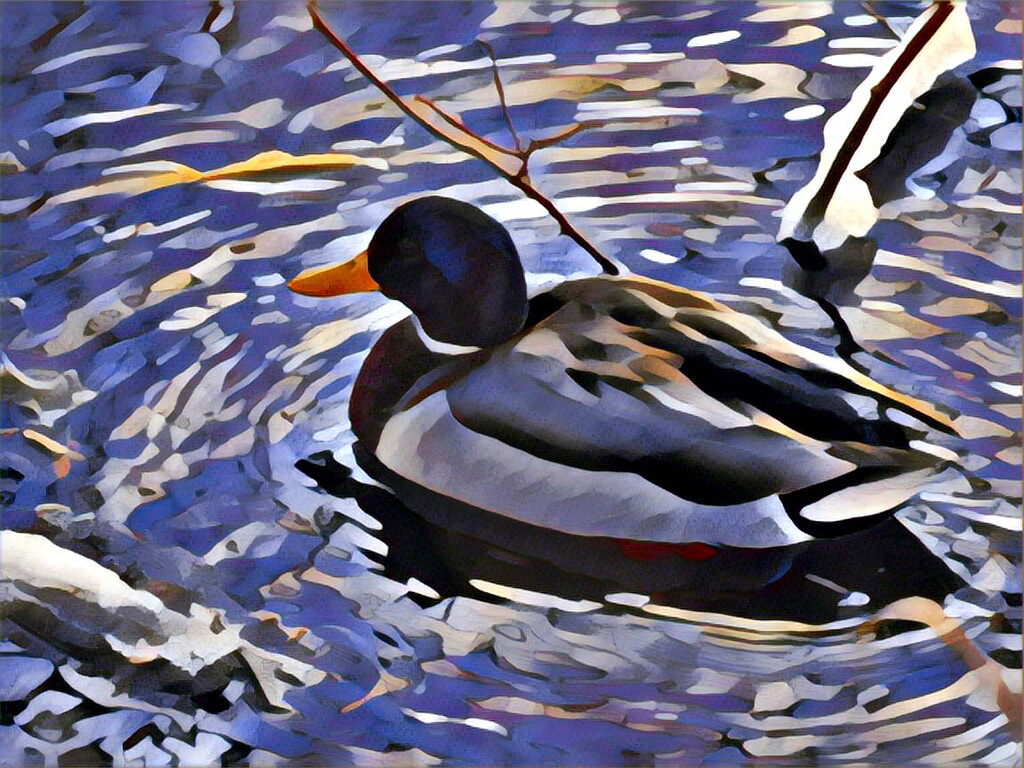 Prismatic duck by ljmanning