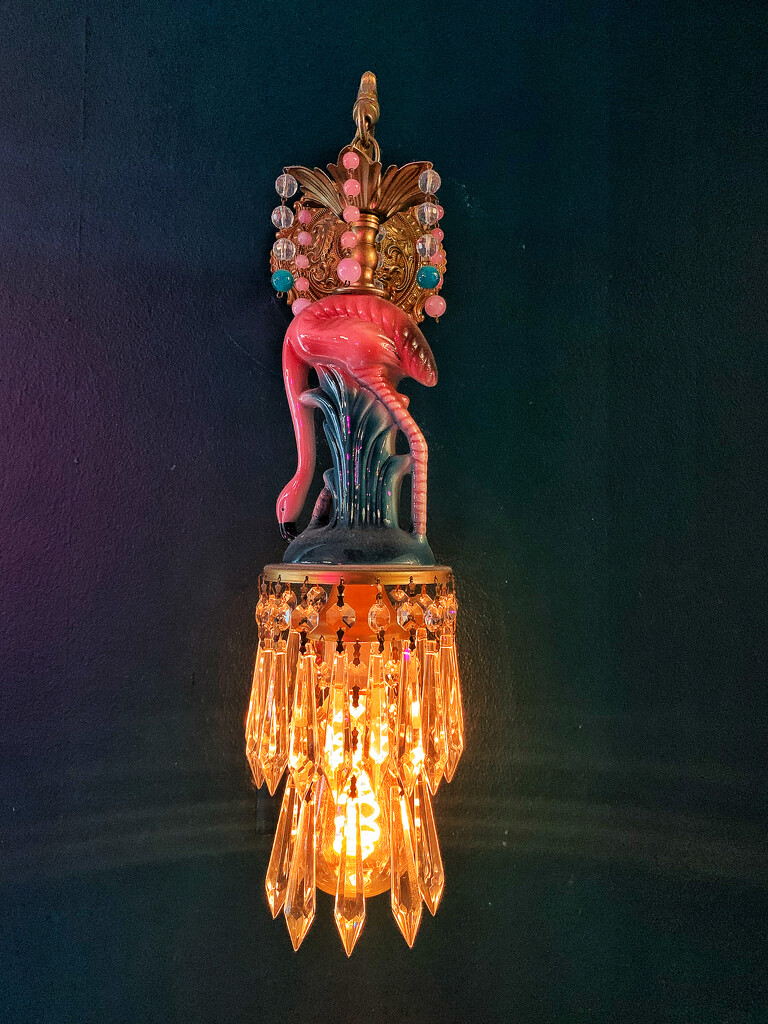 Nice lamp.  by cocobella