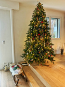 4th Dec 2023 - Christmas tree is ready. 